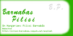 barnabas pilisi business card